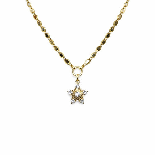 Yıldız Uçlu Arpa Gold Kolye