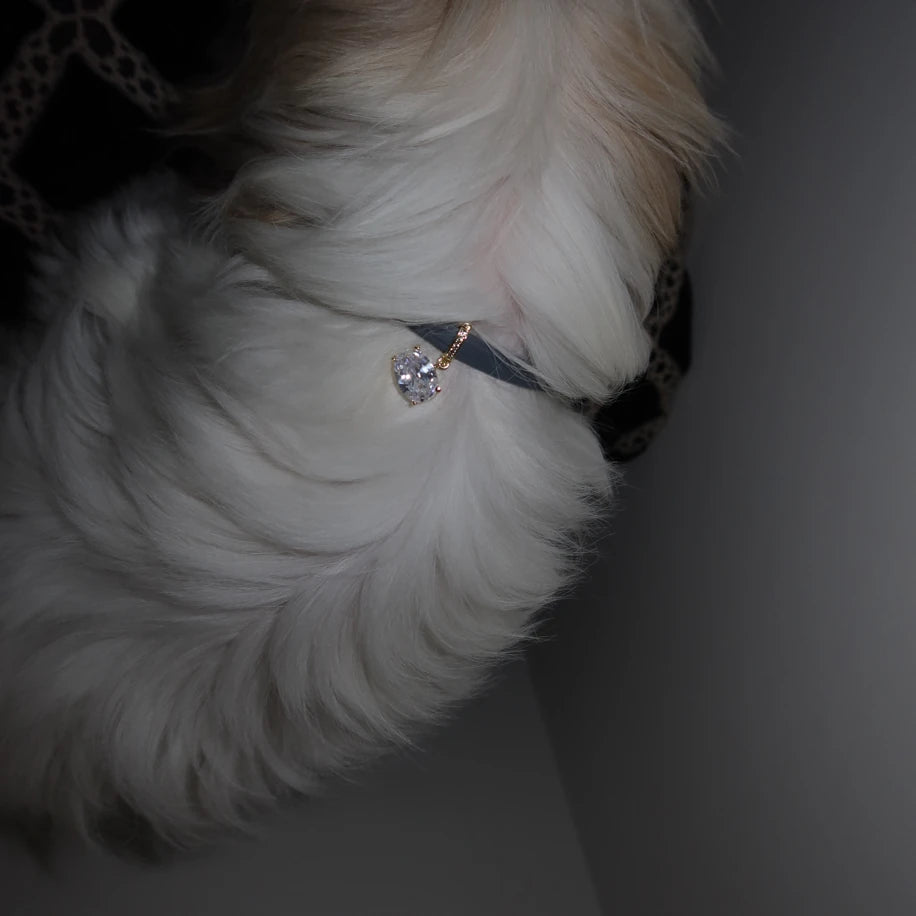 Gaiana Silver Charm