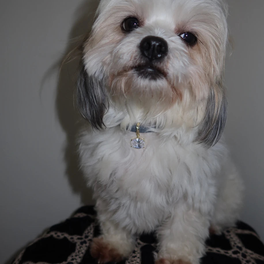 Gaiana Gold Charm